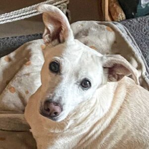 Blanquita