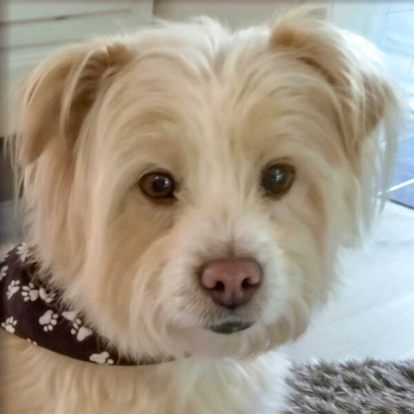 Benny