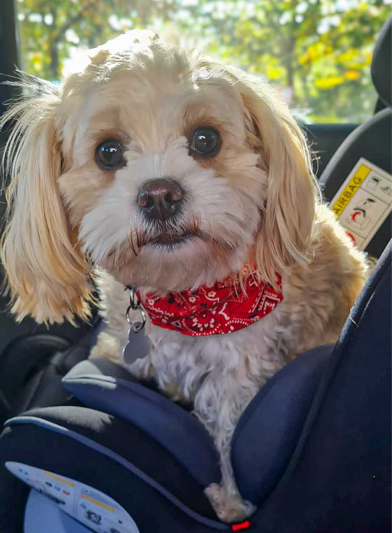 Ella