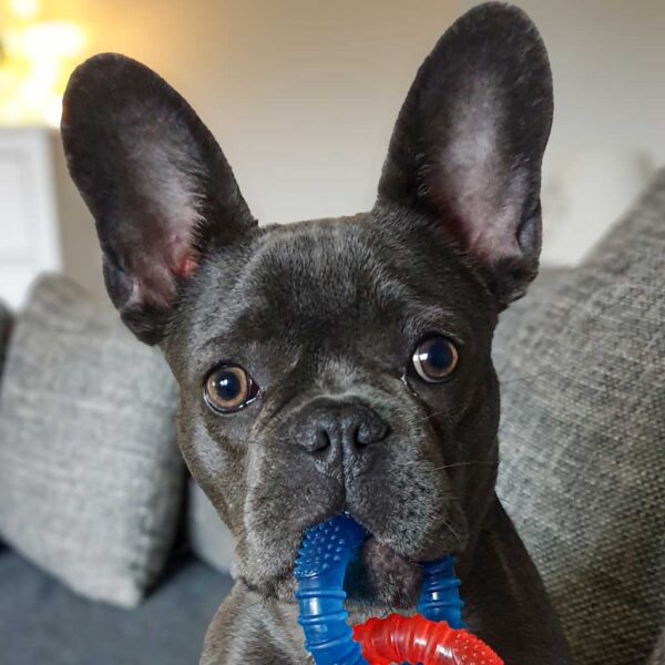 Oskar