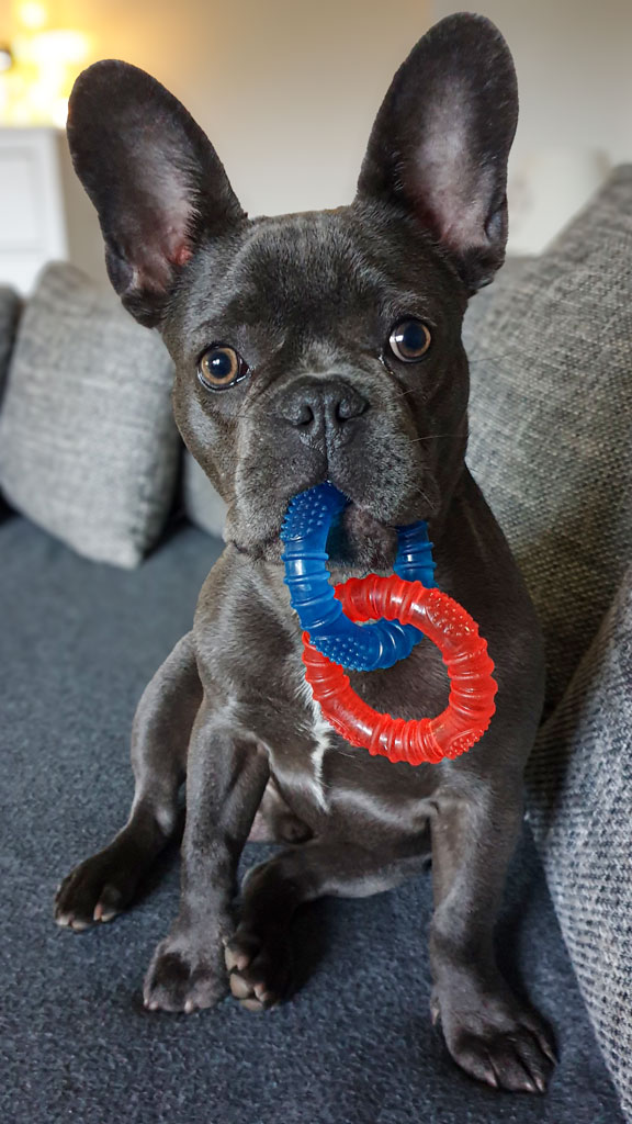 Oskar