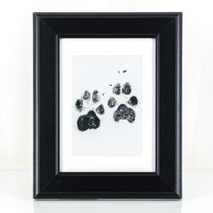 schwarzer Rahmen mit Pfoten