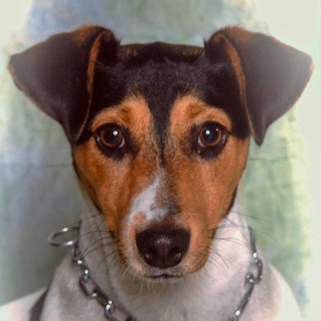Jack